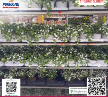 Blumen