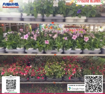 Blumen
