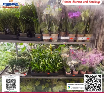 Blumenarra: Individuelle Blumenarrangements