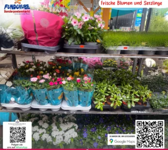Floristik Highlight: Saisonale Blumenarrangements